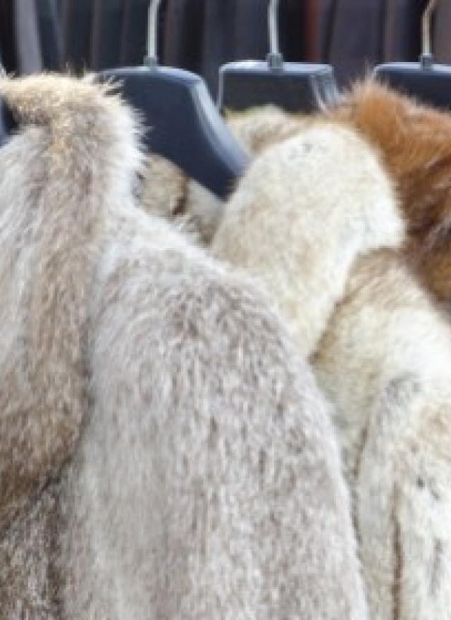 Fur coats on a rack